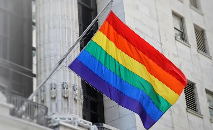 Advocacy Campaign Rainbow Flag Building